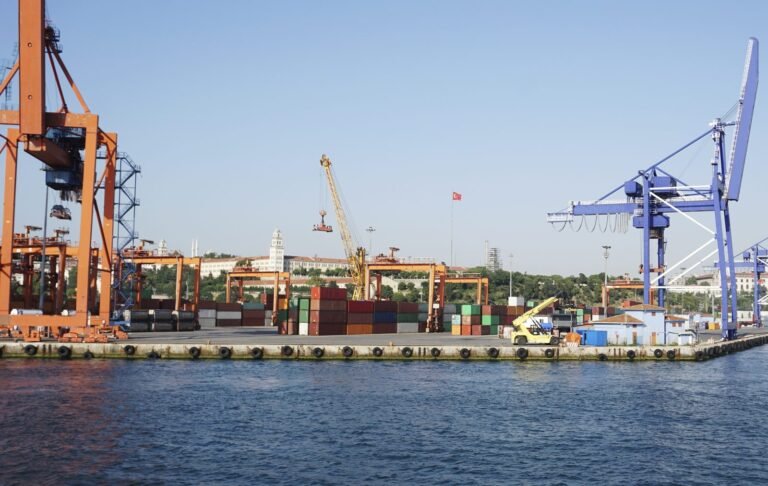 Grúas pórtico y contenedores en el muelle de un terminal portuario