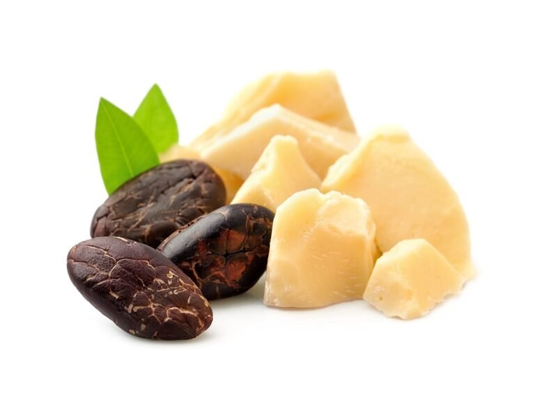 Bloques de manteca de cacao junto a granos de cacao tostados