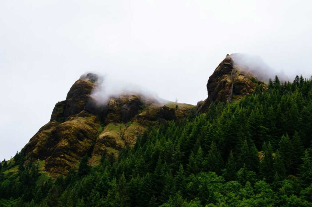 Columna de humo sobre una ladera cubierta de bosque